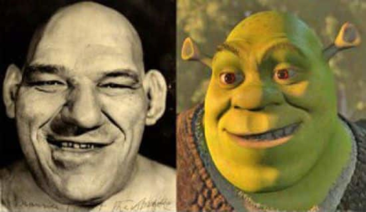 Shrek Lutteur An In Depth Look At The Iconic Character And His Impact