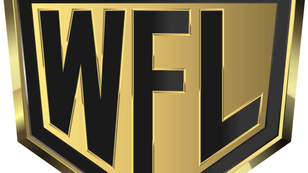 World Fighting League (WFL) details leak for new MMA promotion debuting in  2023 