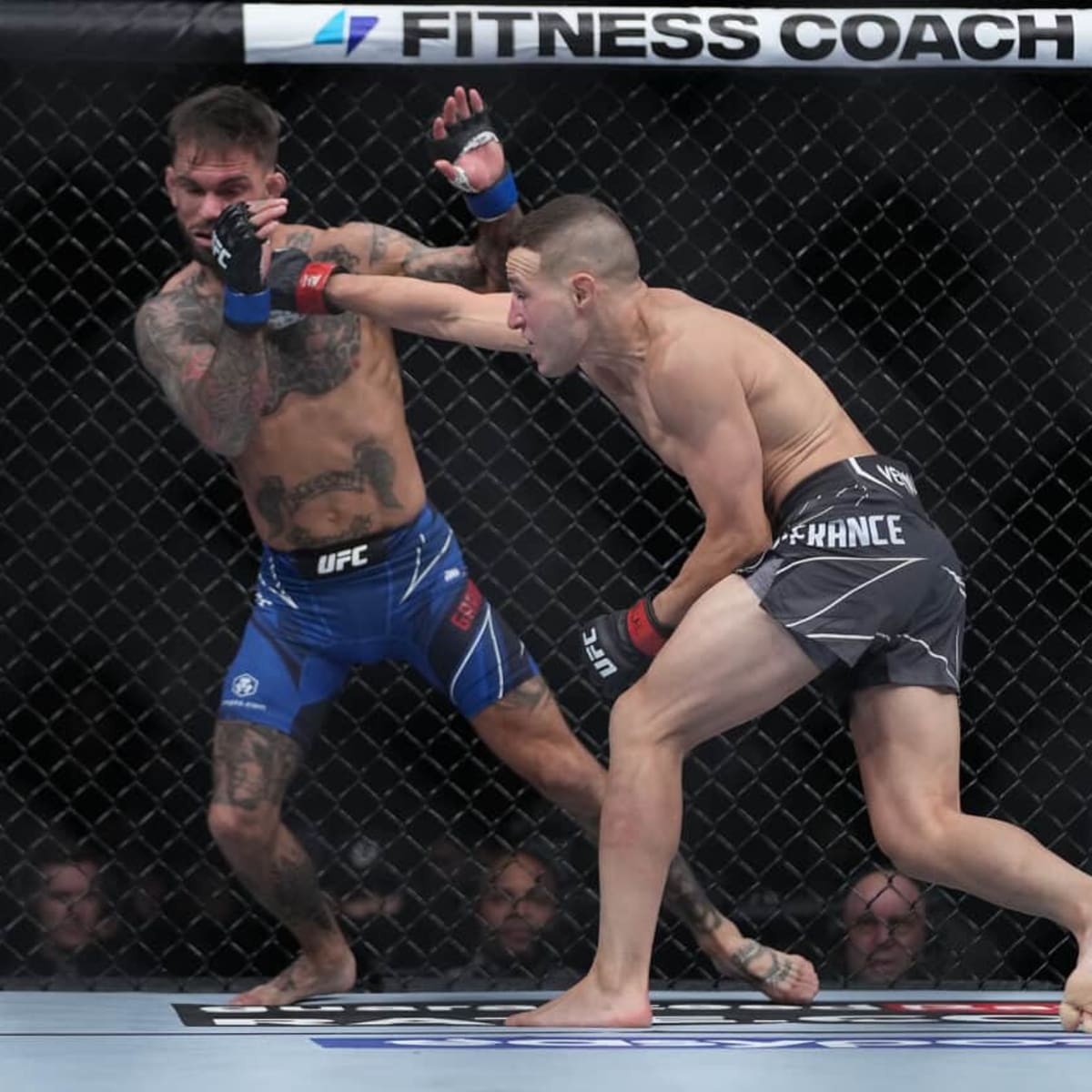 A new study finds MMA fighters take ten times more head trauma in training, compared to fights