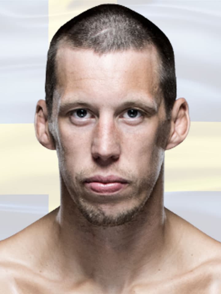 Portrait of Magnus Cedenblad