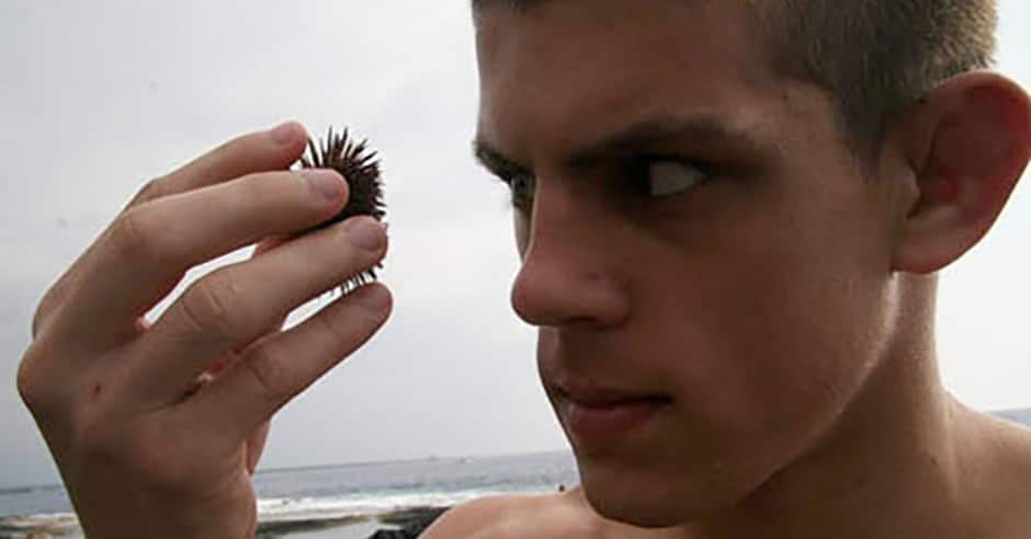 5 MMA fighters who are way smarter than you