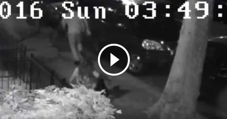 Police release footage of woman fighting off rapist