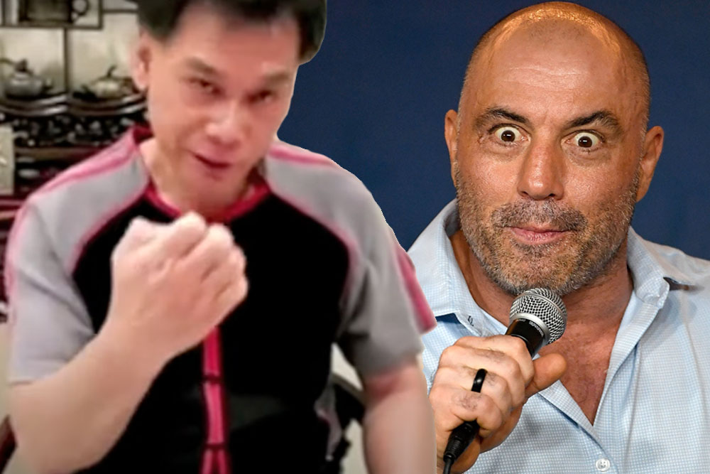 Joe Rogan, the Legend of Baby Monkey, and Inadvertent Comedians in martial arts