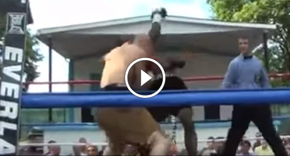 Backyard boxers swing as hard as they can until someone leaves on a stretcher
