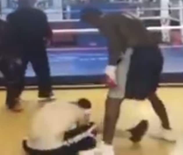 Boxer beats troll and justice reigns supreme