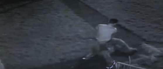 Paratrooper fights burglar on front lawn