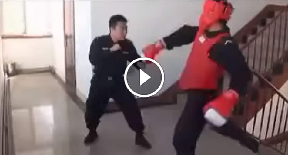 Chinese police force is composed of badass martial artists