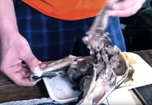 Conor McGregor eats an animal’s head – feeds some to baby