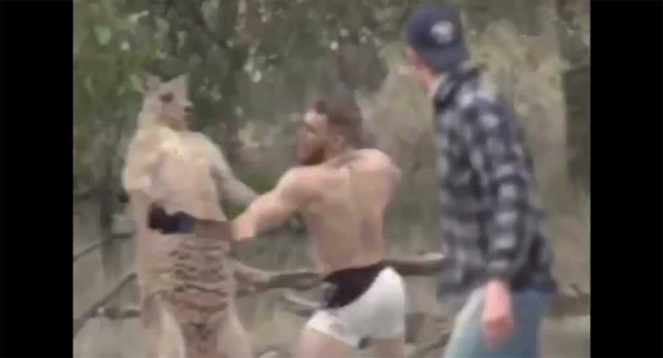 Conor McGregor takes OUT dog-attacking kangaroo