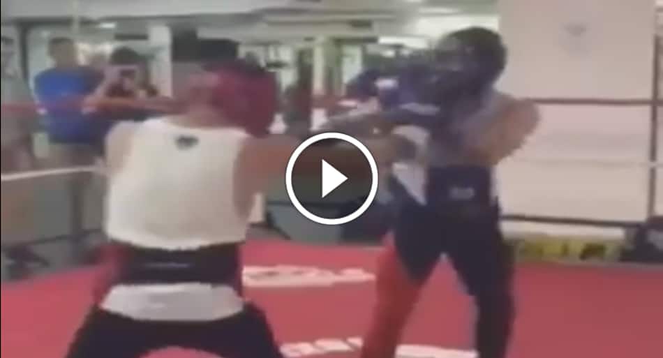 Conor McGregor vs. former boxing champion in sparring match