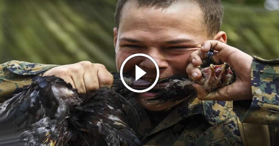 Crazy military training methods that you’ve never heard about