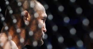 Dan Henderson UFC on FOX 4 Q&A replay