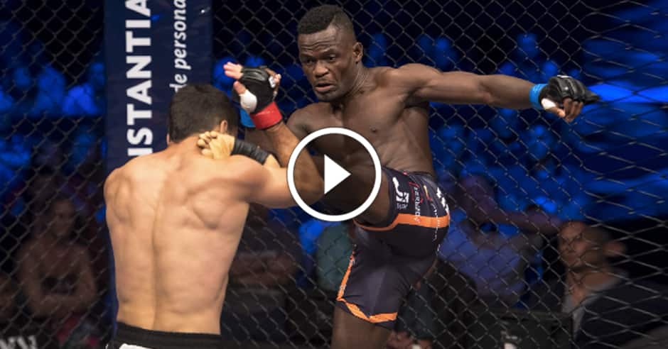 EFC 66 WHAT A YEAR ENDER