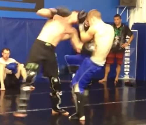 Donald Cerrone KOs sparring partner with great combo