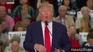 UFC News: Ex-President Donald Trump to be guest at UFC 264