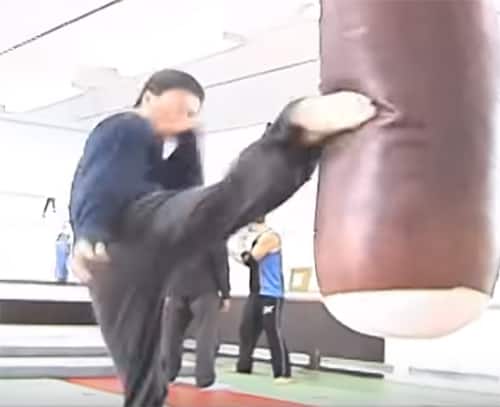 Donnie Yen training martial arts
