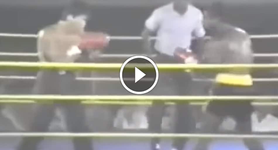 Kickboxing legend Don ‘The Dragon’ Wilson vs. UFC 1 veteran