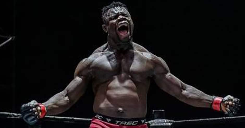 Full Card for ONE Warrior Series 8: Japan vs. The World