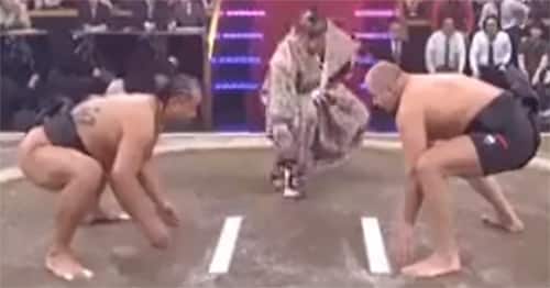 Fedor Emelianenko vs Sumo Wrestler with quick ending