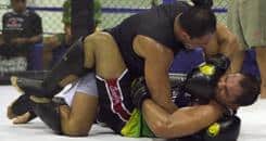 Gallerty: Nogueira Brothers Spar