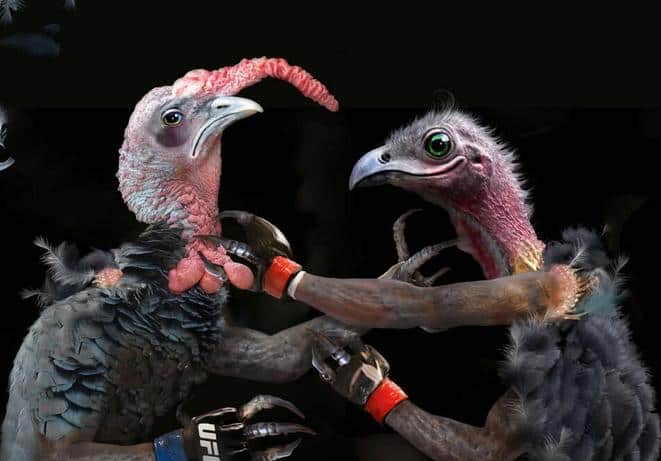 Happy Thanksgiving 2020