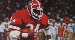 Herschel Walker to MMA?