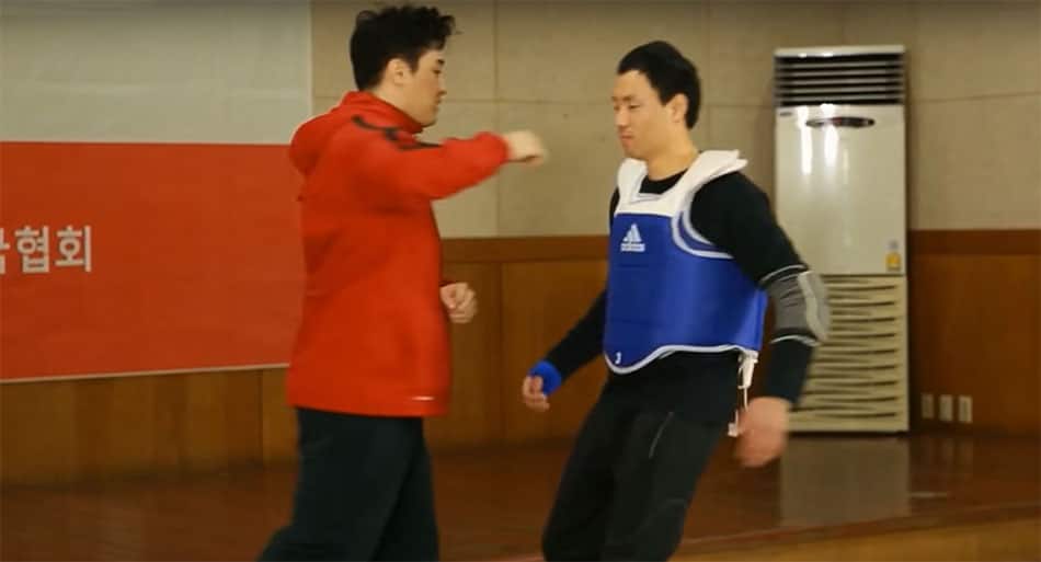Martial arts expert skillfully demonstrates 15 separate styles – can you identify them all?