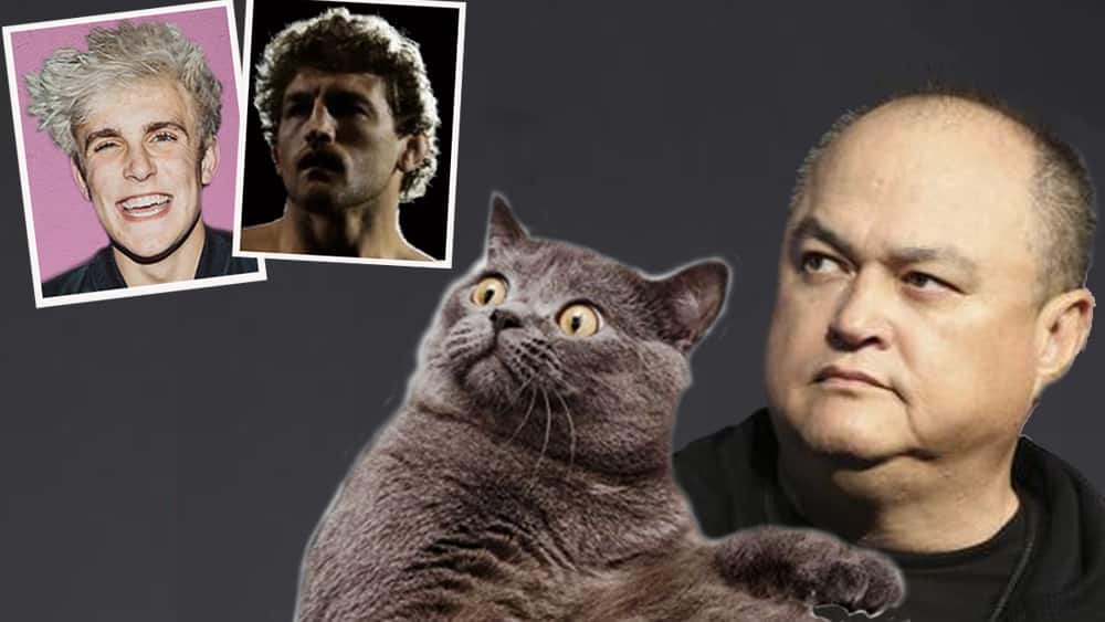 Askren, Coker, Sonnen, Paul, Paul … WTF