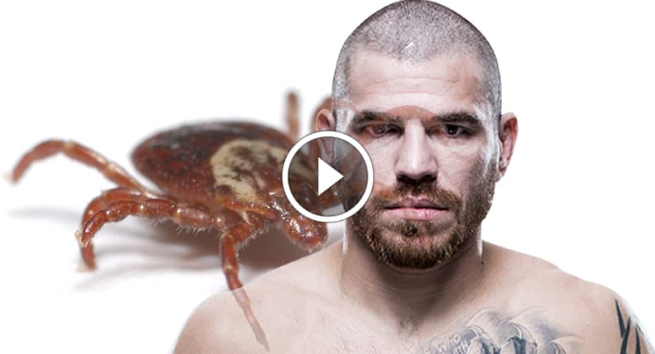 DWCS alum Nikolas Motta gets Jim Miller for Octagon debut