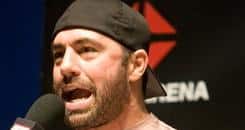 Joe Rogan Breaks Down Evans vs. Machida