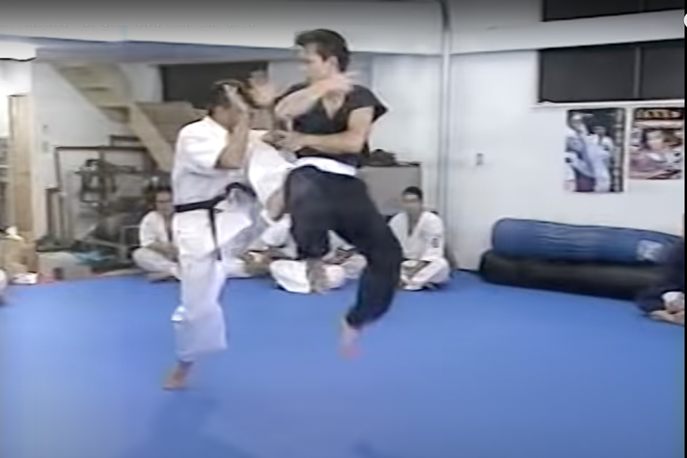 Knockdown karate vs. Snake, Drunken, Internal Kung Fu … full contact