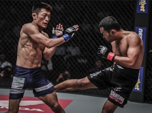 This is what REAL Muay Thai looks like in MMA
