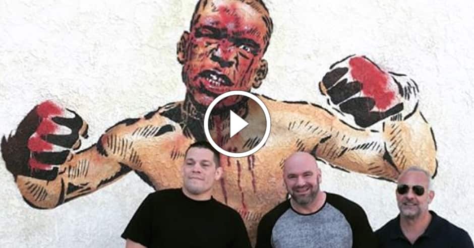 Nate Diaz: TMZ exaggerated