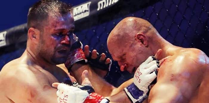 Maldonado wins petition, but Fedor decision stands