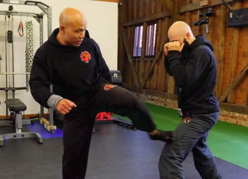 Master Wong shows how to deal with a school bully