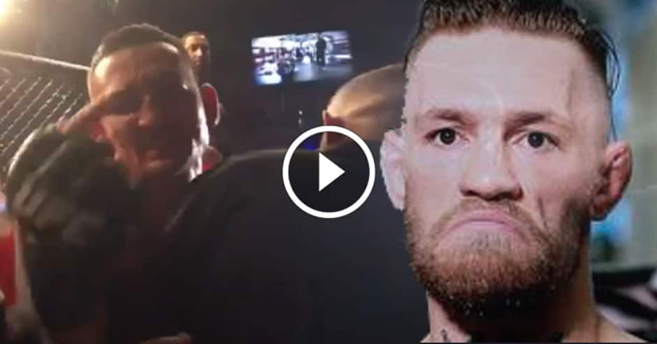 Blessed: McGregor can beg to fight me