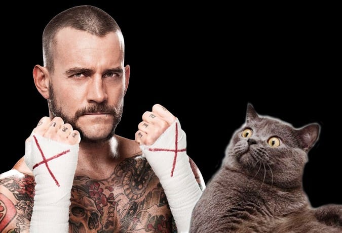 Cormier: CM Punk debut is losing intrigue with delay