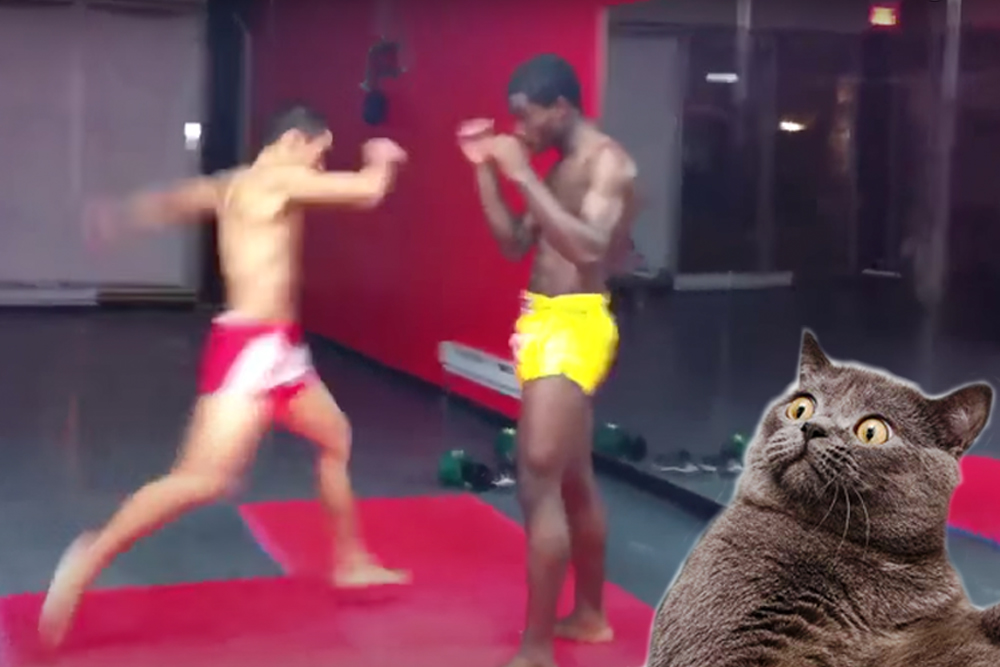 Muay Thai kick dislocates knee, and then it gets weird