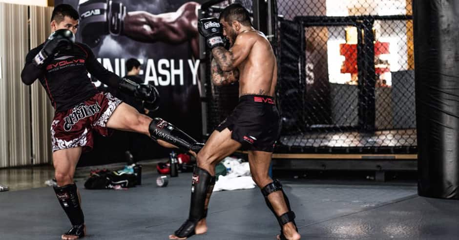 Utilizing the inside low kick In Muay Thai