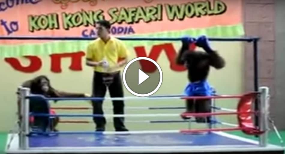 Muay Thai in its most primal form