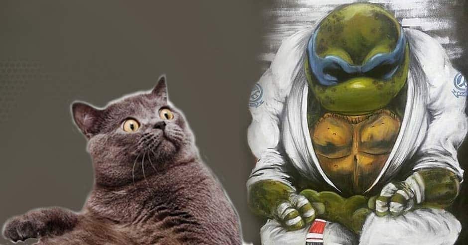 ? of the Day: Who’s going back to jiu-jitsu?