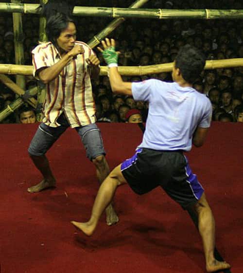 Boarding school where students fight no-holds-barred