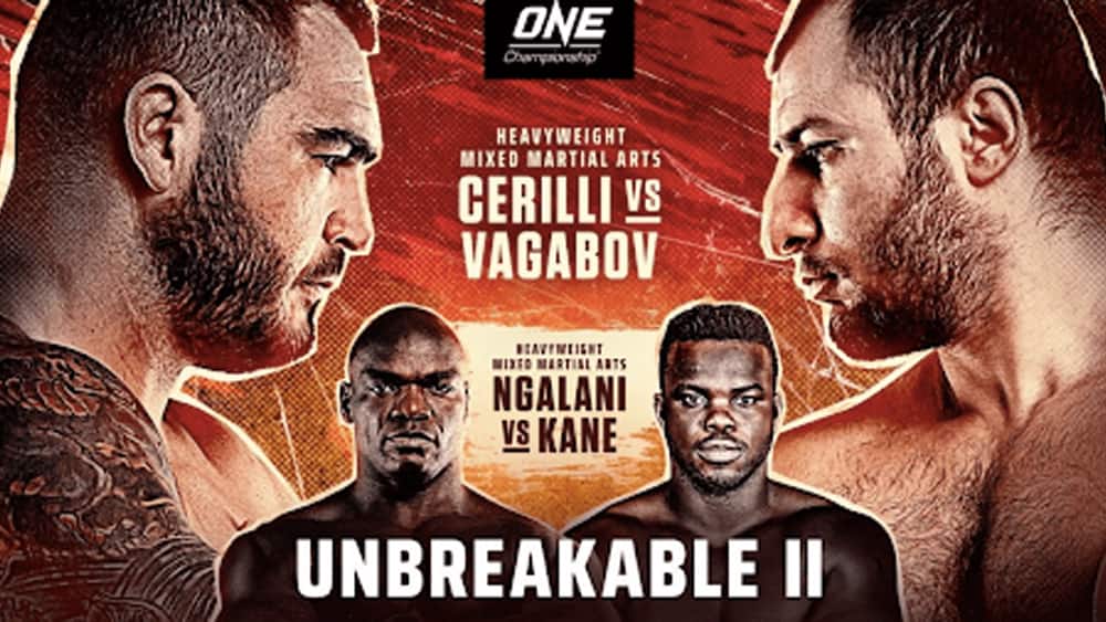 ONE: UNBREAKABLE II results and highlights