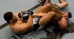 Palhares: “Wanderlei Would Beat Anderson”