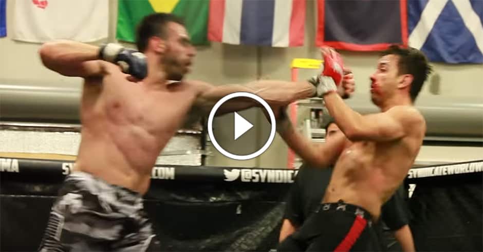 Poker players thump each other for $150k in bloody MMA fight