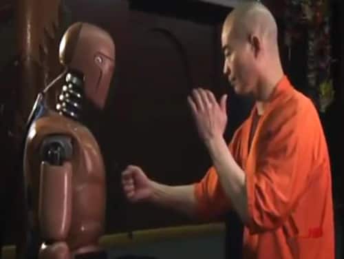 Real Shaolin monk gets one-inch punch scientifically tested