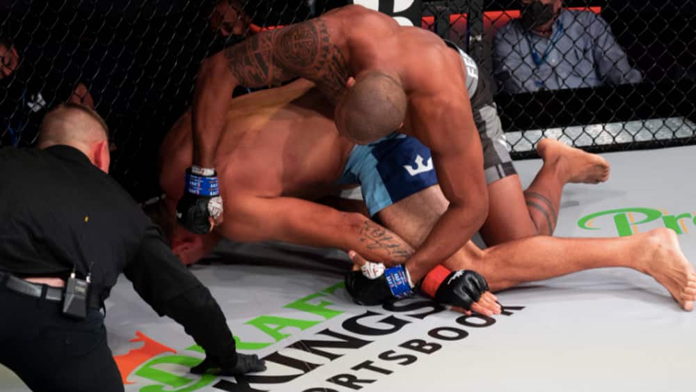 Did ‘Self-Evident and Palpable Error’ occur in Werdum vs. Ferreira potential tap?