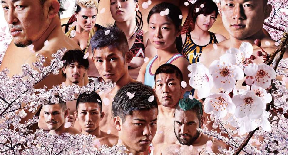 Complete Rizin FF 5 results