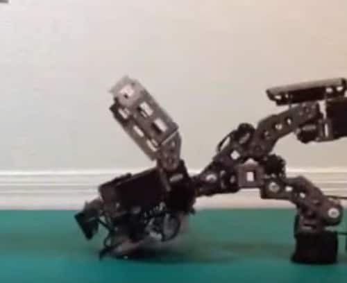 Watch robots teach themselves martial arts