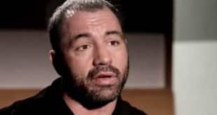 Rogan: Judges that suck should be fired
